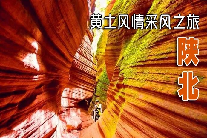 2020年8月新文化游客在陕北