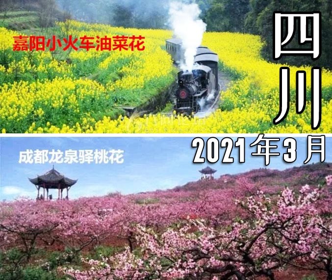 2021年3月新文化游客在四川