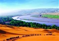 宁夏大漠黄河六天历史文化之旅