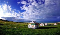 青海草原赏花盐湖六天深度之旅