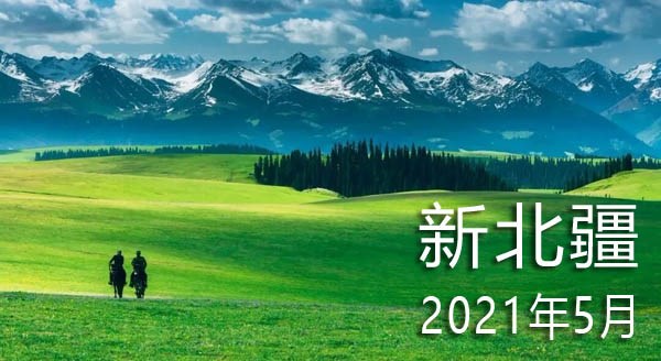 2021年3月新文化游客在新疆