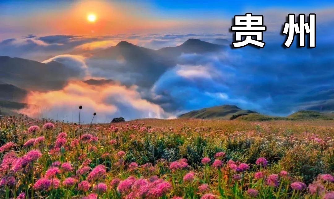 2024年8月新文化游客在贵州