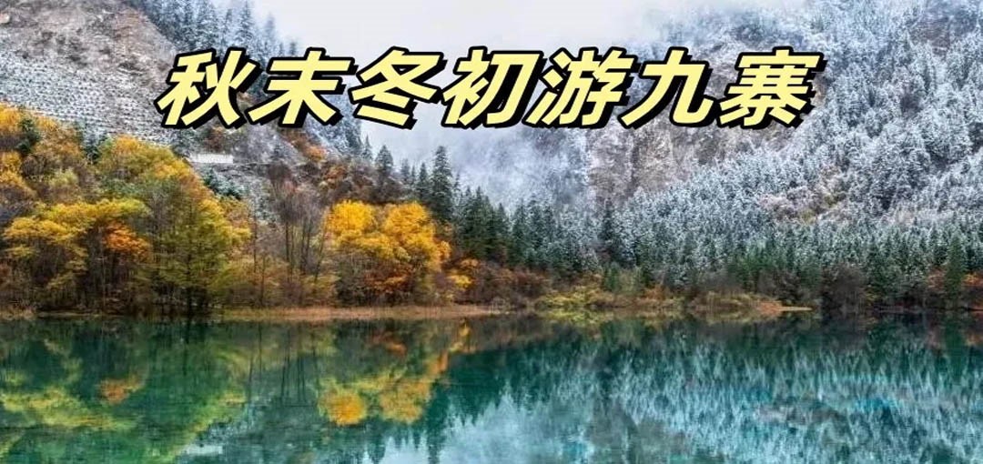 2024年11月新文化游客在四川