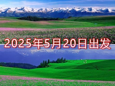 【春游北疆】石河子、赛里木湖、特克斯、喀拉峻、那拉提、巴音布鲁克 八天风光之旅