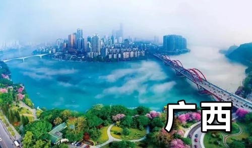 2025年3月新文化游客在广西
