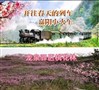 四川嘉阳小火车赏双花五天之旅