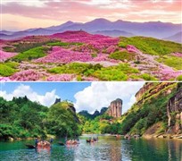 【福建闽西北】龙岩新罗、赖坊樱花、三明沙县、泰宁丹霞、武夷山六天赏花美食之旅