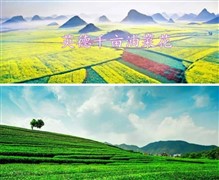 英德两天春游赏花特色美食之旅