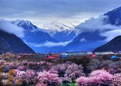 西藏江南林芝七天春游赏花之旅