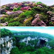 重庆武隆、南川五天地质奇观赏花之旅