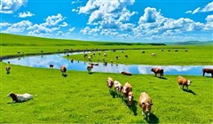 内蒙赤峰、河北承德 塞外风光八天七晚历史文化之旅