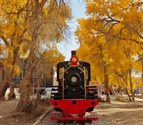 新疆南疆十一天穿越沙漠行摄胡杨深度之旅