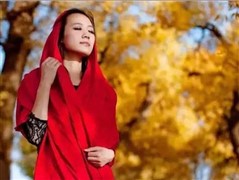 新疆南疆帕米尔高原沙漠胡杨十二天深度之旅