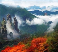 湖北神农架红叶彩林四天赏秋之旅