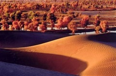 甘肃河西走廊七天精华之旅