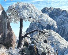 黄山冬雪国画宏村五天休闲之旅