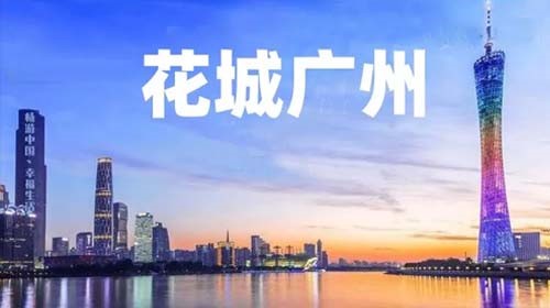 2026年1月新文化游客在广州