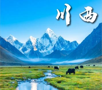 2026年4月新文化游客在川西
